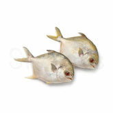 Diamond Foods Golden Pomfret Steak 1kg^ - Shaalis.com