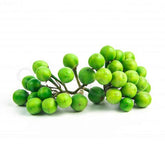 Turkey Berry / Sundakkai (Approx 220g) - Shaalis.com