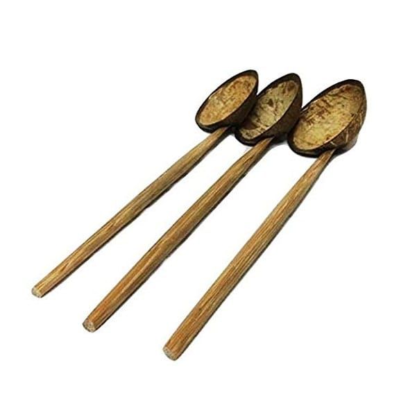 Coconut Shell Ladle Spoon (Single) - Shaalis.com