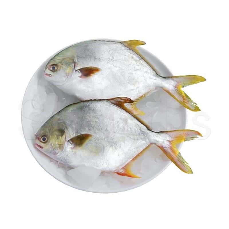 Diamond Foods Golden Pomfret Steak 1kg^ - Shaalis.com
