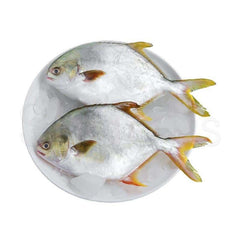 Diamond Foods Golden Pomfret Steak 1kg^ - Shaalis.com