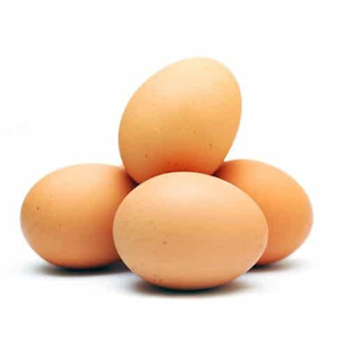 Egg 30 Pack - Shaalis.com
