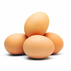 Egg 30 Pack - Shaalis.com