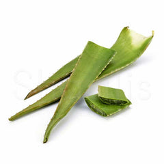 Fresh Aloe Vera Leaf (Single) - Shaalis.com