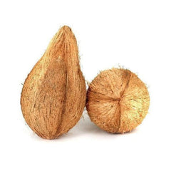 Fresh Coconut with Tail - Single (if not good money back) - Shaalis.com