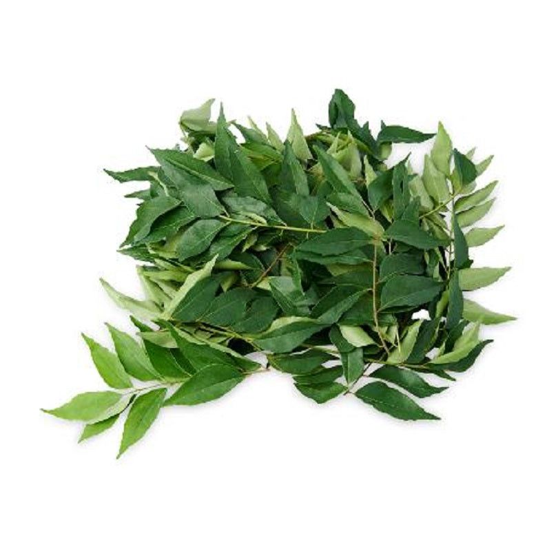 Fresh Curry leaves - Shaalis.com