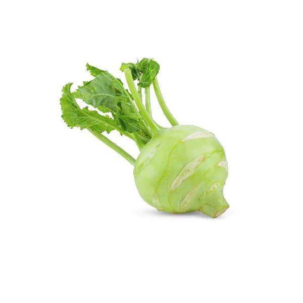 Fresh Kohlrabi (single) - Shaalis.com