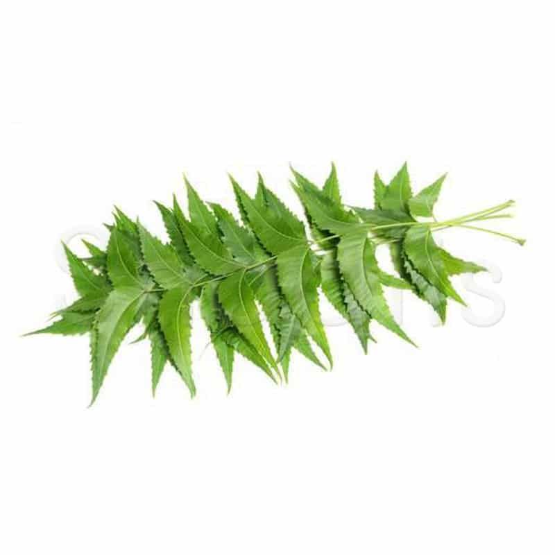 Fresh Neem Leaves approx 50g  (approx 18 stems) - Shaalis.com