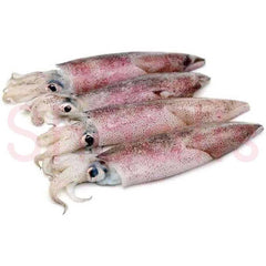 Fresh Squid 500g - Shaalis.com