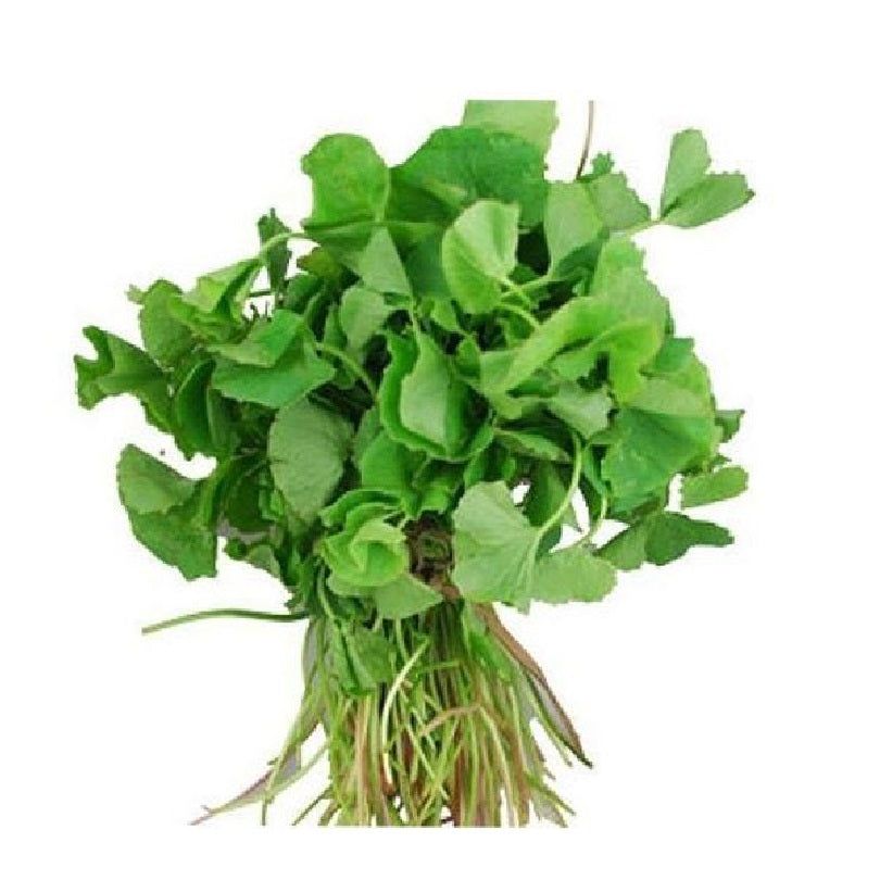 Vallarai Leaves / Keerai bunch - Shaalis.com