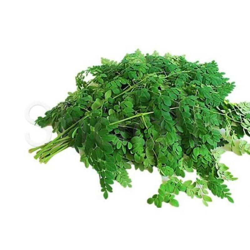 Fresh Drumstick Leaves / Murungai Keerai (approx 250g) - Shaalis.com