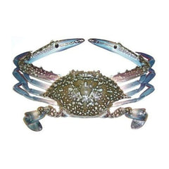 Fresh Crab / Nandu 1kg - Shaalis.com