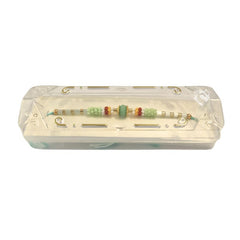 Rakhi 001