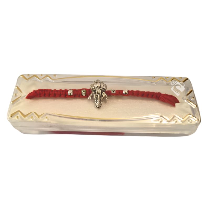 Rakhi 002