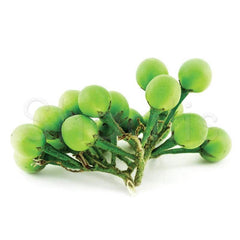 Turkey Berry / Sundakkai  (Approx 220g) - Shaalis.com