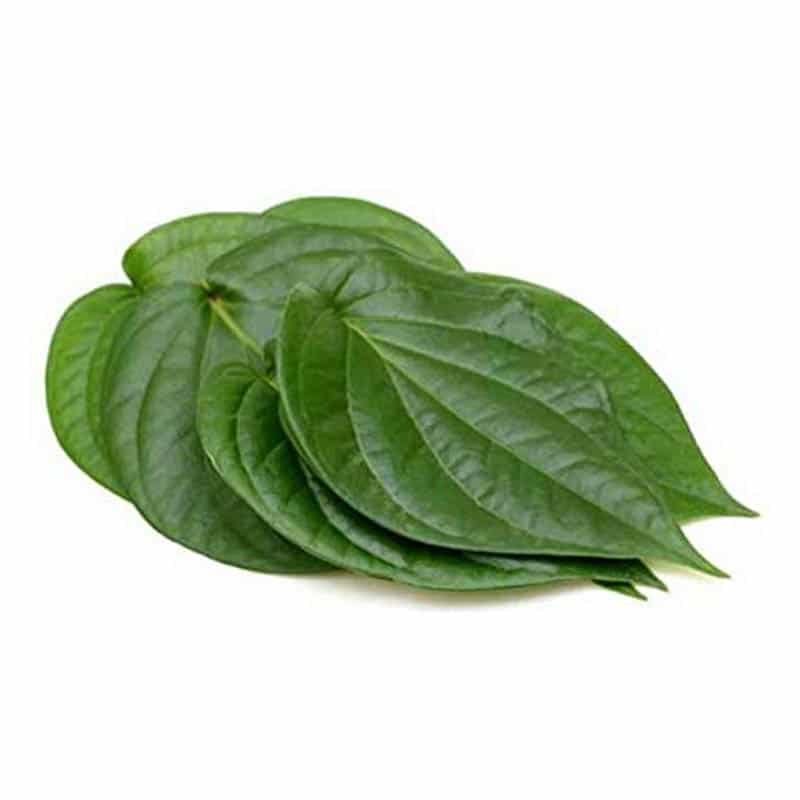 Betel Leaf / Pan Leaf (4leaves)