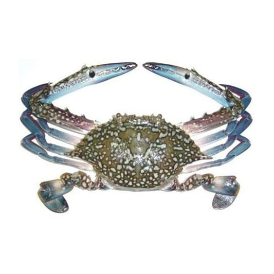 Fresh Crab / Nandu 500g