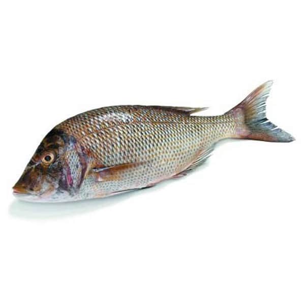 Fresh Emperor / Vizhai Fish 1kg