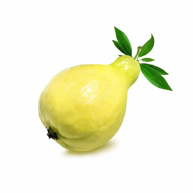 Guava Green (Single)