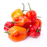 Hot Peppers  100g