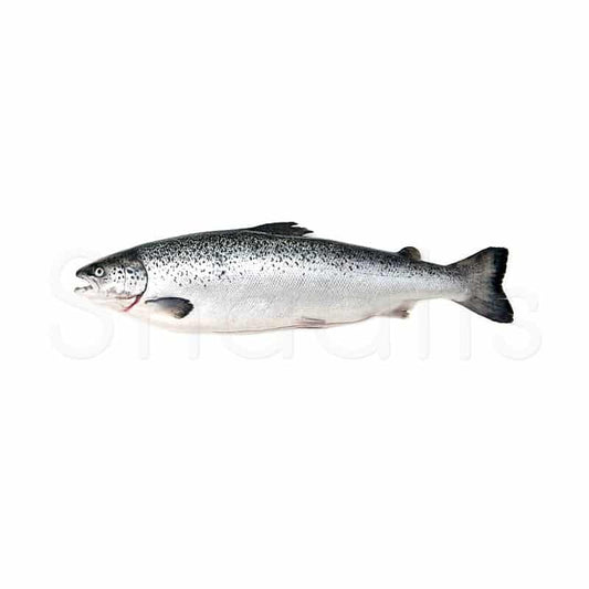 Fresh Salmon Fish 1kg