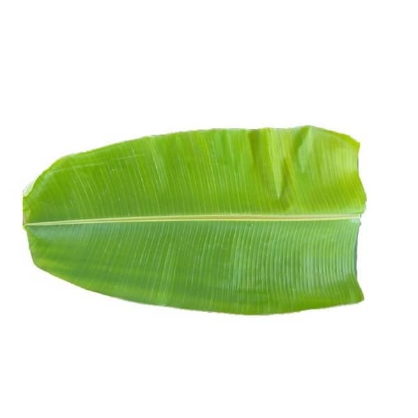Banana Leaf Single