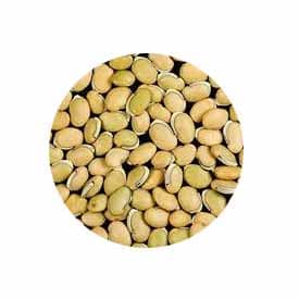 Field bean (motchakottai) 500g