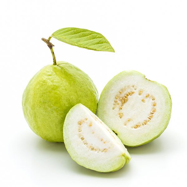 Guava Green Big (Single)