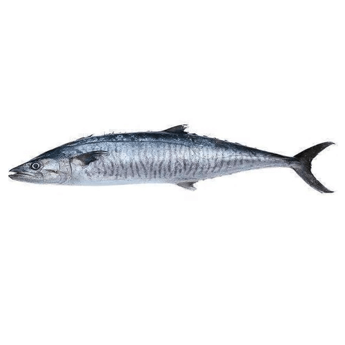 Fresh King Fish / Seer / Vanjaram / Neymeen 1kg