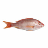Fresh Sankara / Red Snapper Fish 1kg